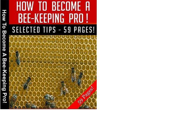 Product picture Beekeeping Secrets